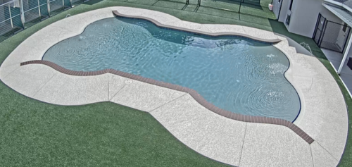 Commercial pool for Pet Paradise Snellville. Double beach Entry, Deck Jets, Brick Coping, Concrete Decking